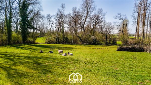 Terrain de pâturage de 12 980 m² à vendre - Libre de bail