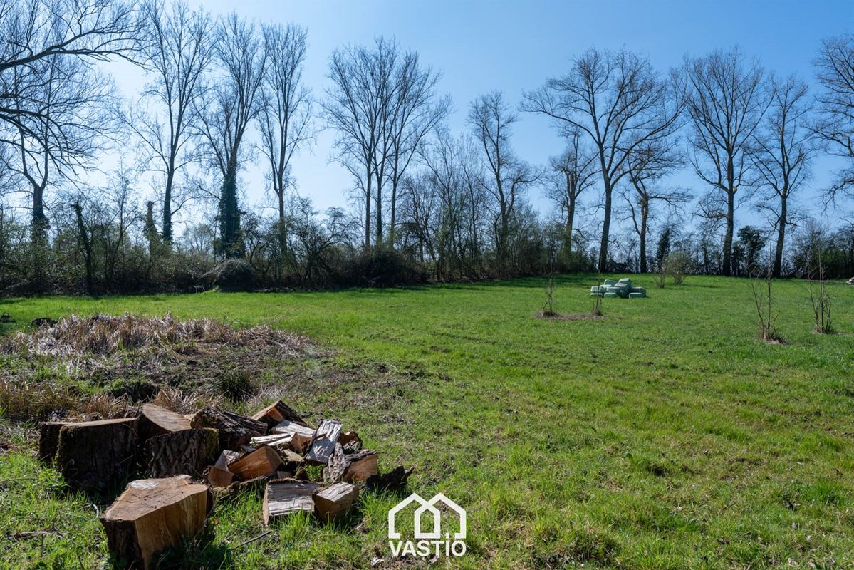 Pasture land of 12,980 m² for sale - Free from leasehold