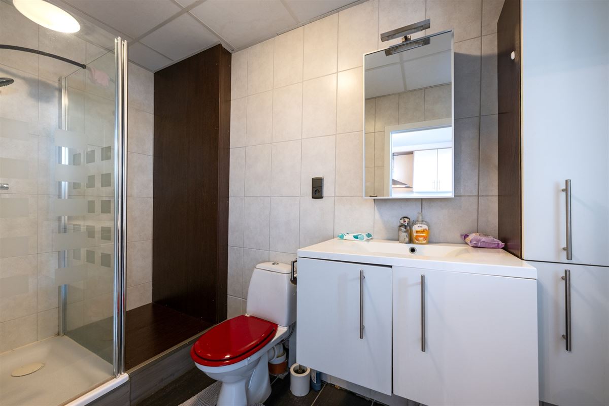 Appartement met 1 slaapkamer en terras