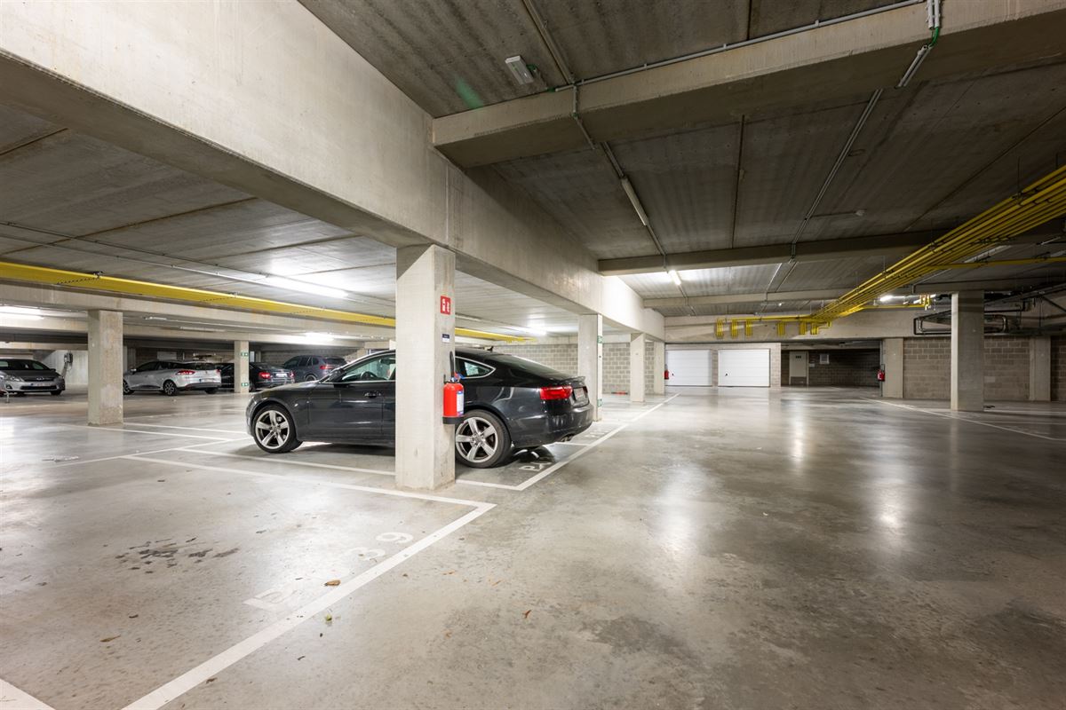 Parking / Garage