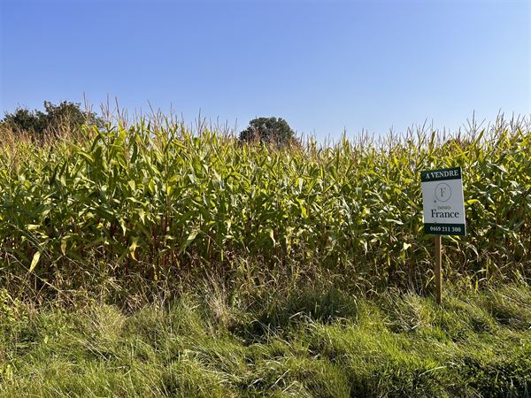 Landbouwgrond 5000m2