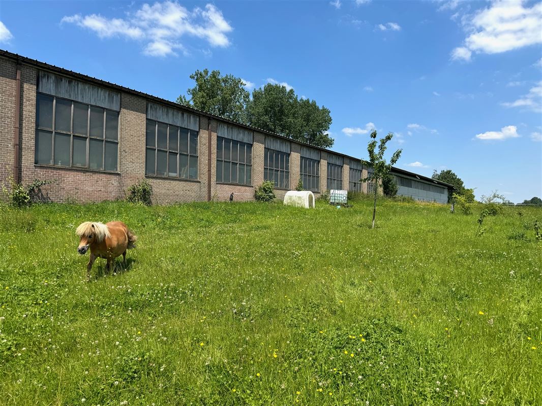 Prachtig MAGAZIJN/OPSLAGRUIMTE van +/- 1.800m2!!