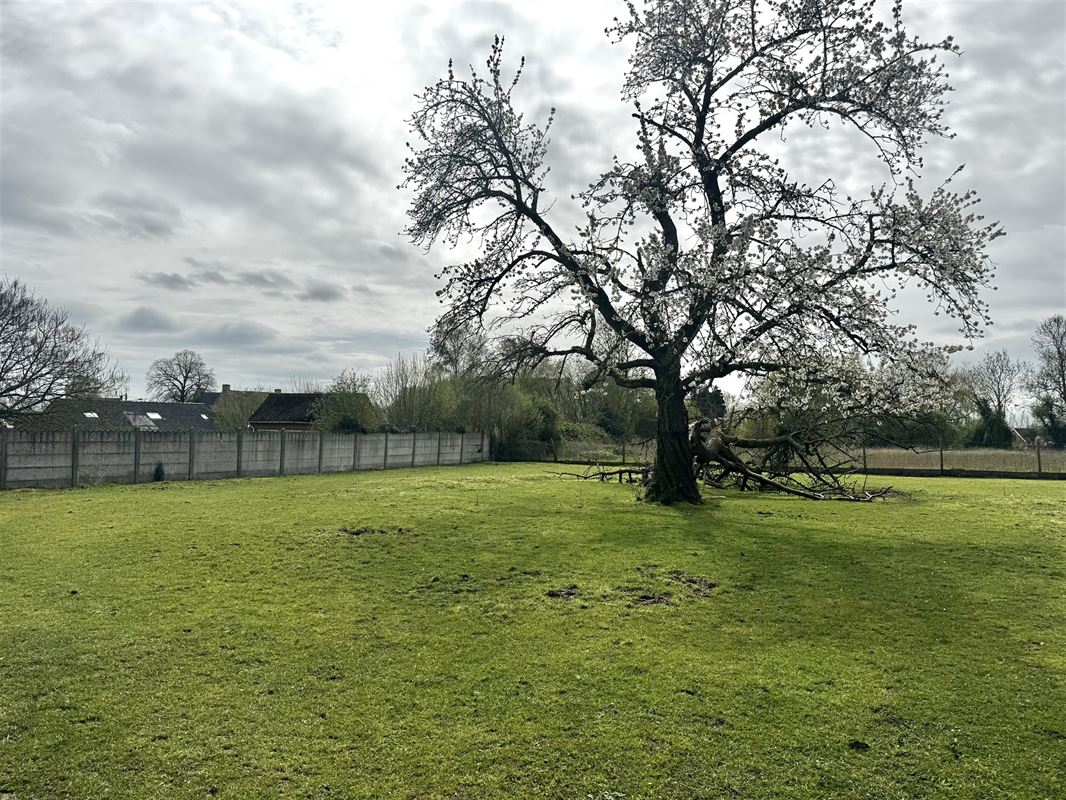 Grond met een totale oppervlakte van 1.410 m².