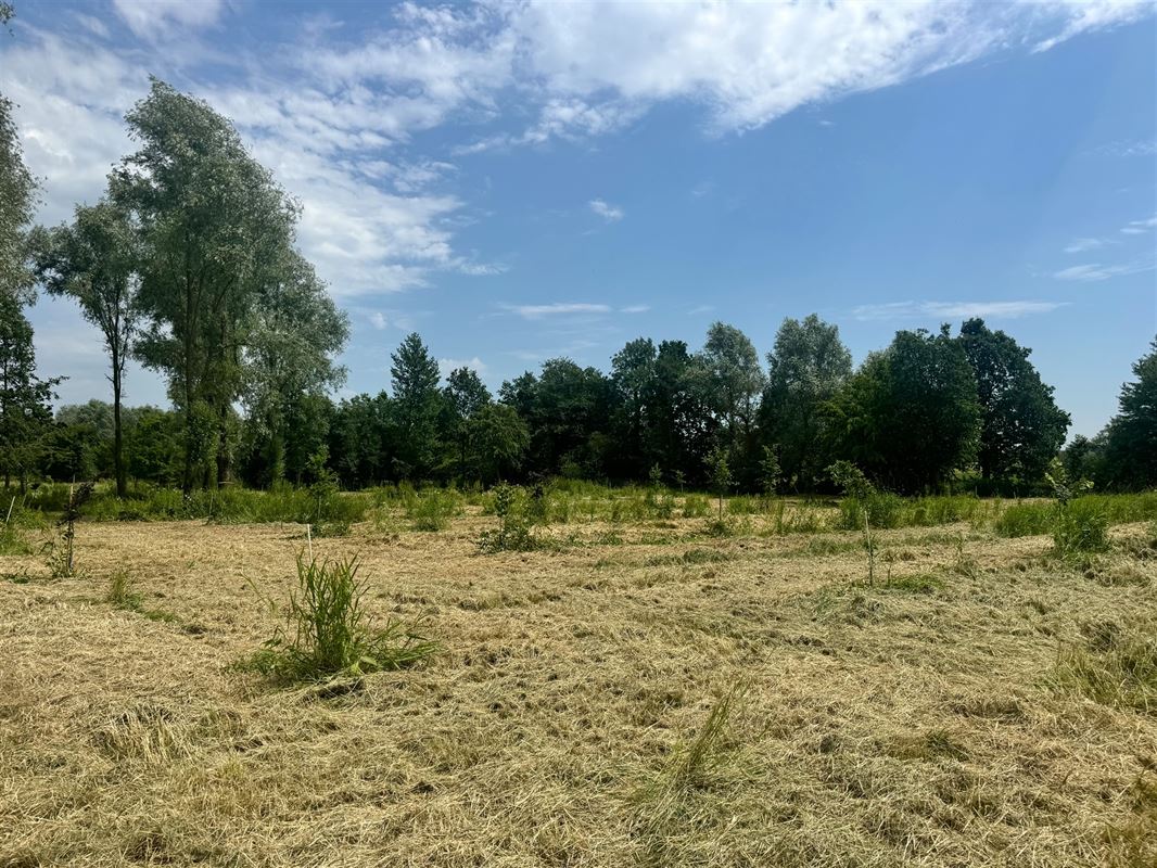 Bosgrond van 2 hectare 15 are 25 centiare.