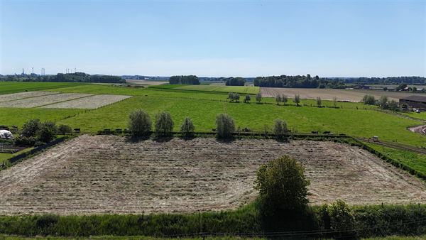 GOEDGELEGEN PROJECTGROND van 5.426m2!