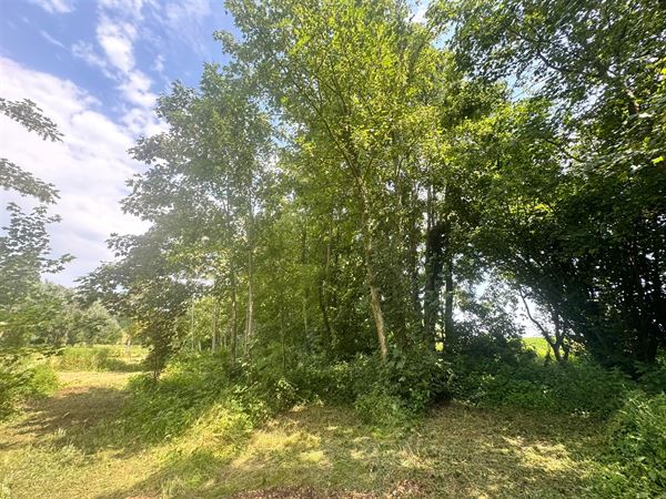 Terrain en zone forestière de 2 ha 15 a 25 ca.