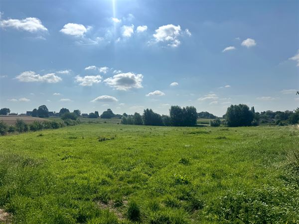 Beau terrain (prairie) d'une superficie totale de 10.506m2!