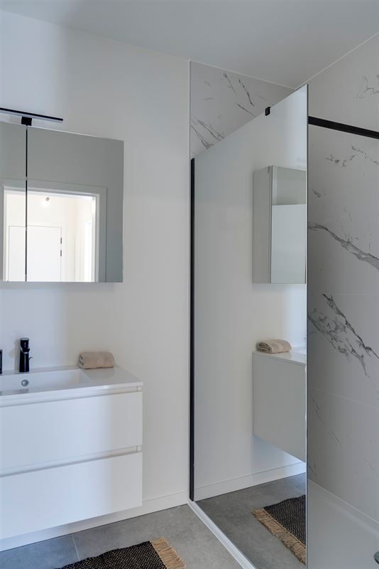 Energiezuinig en stijlvol gerenoveerd appartement in de Groenenhoek