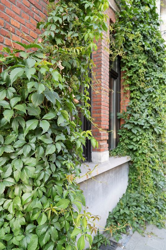 Karaktervolle stadswoning met zicht op het PAKT