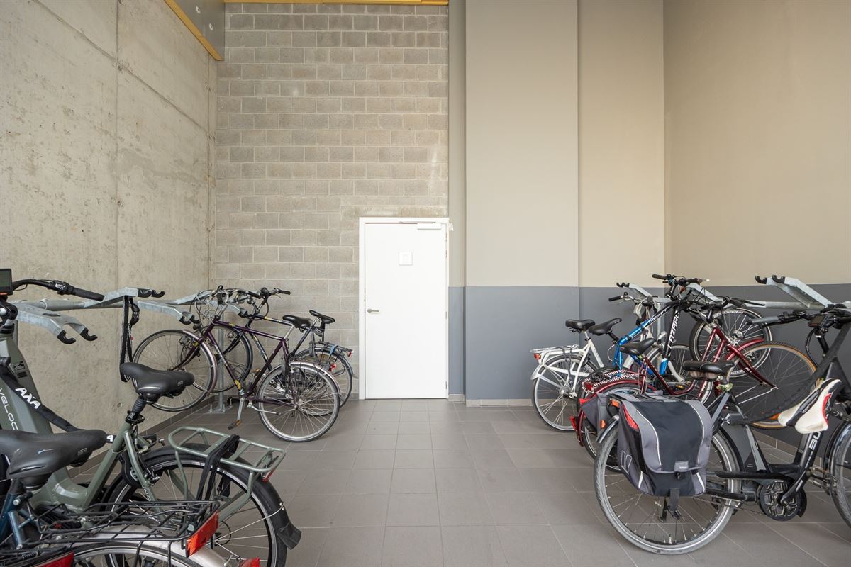 Duurzaam en modern wonen nabij 't MAS