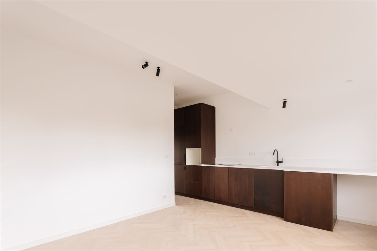 Gerenoveerd dakappartement met zonnig terras