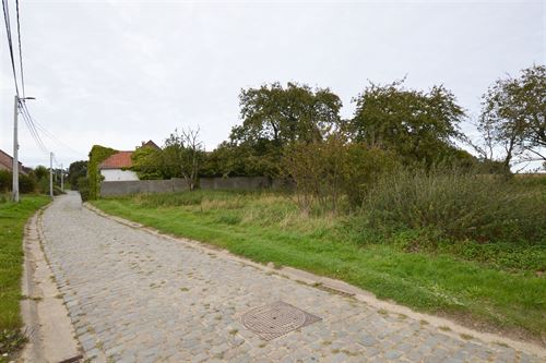 Terrain
