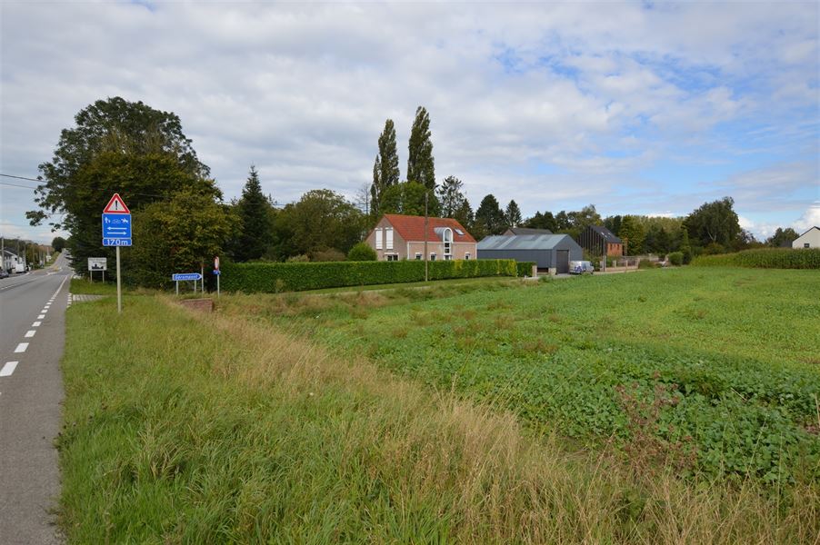 Terrain