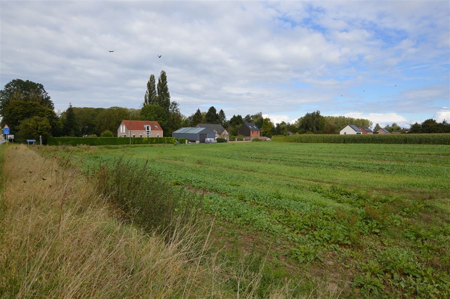Terrain