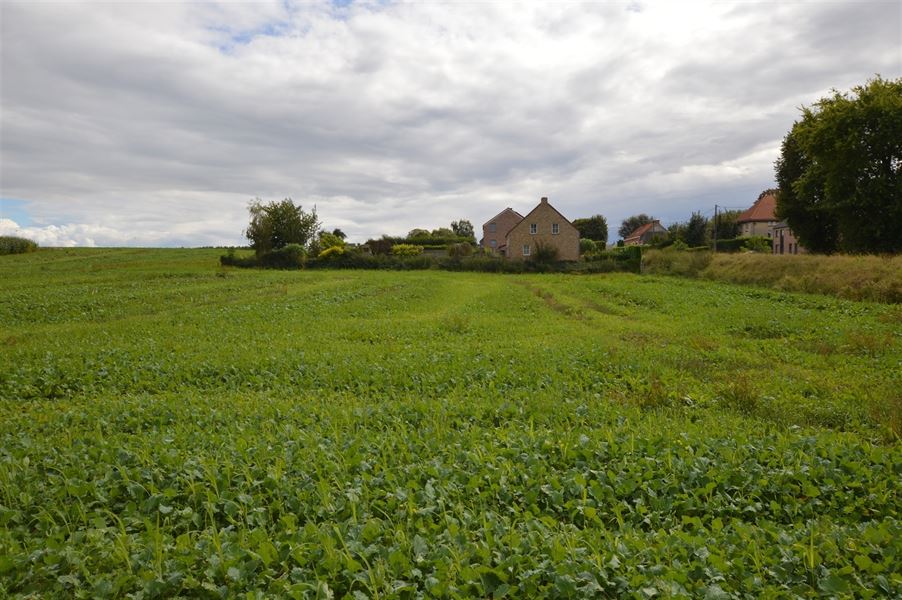 Terrain