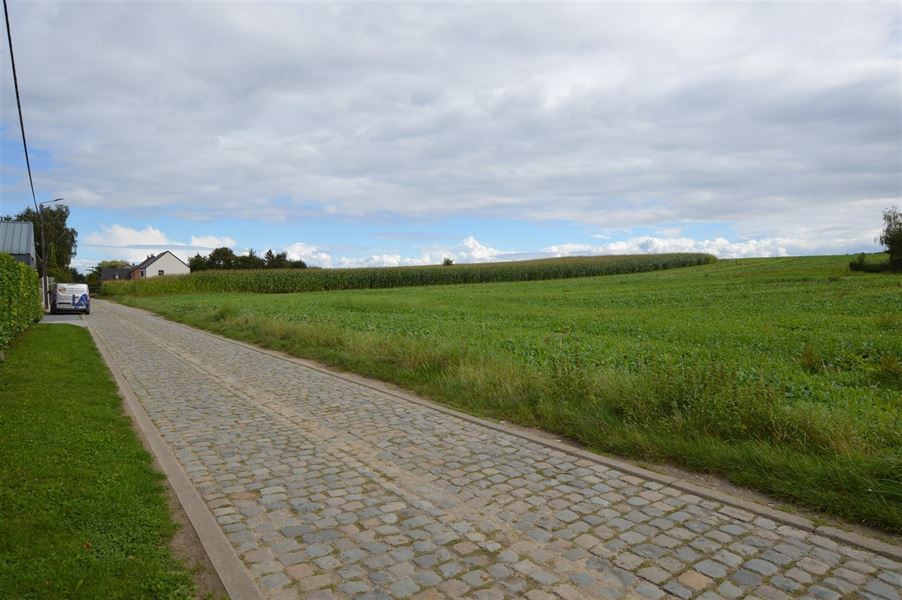 Terrain