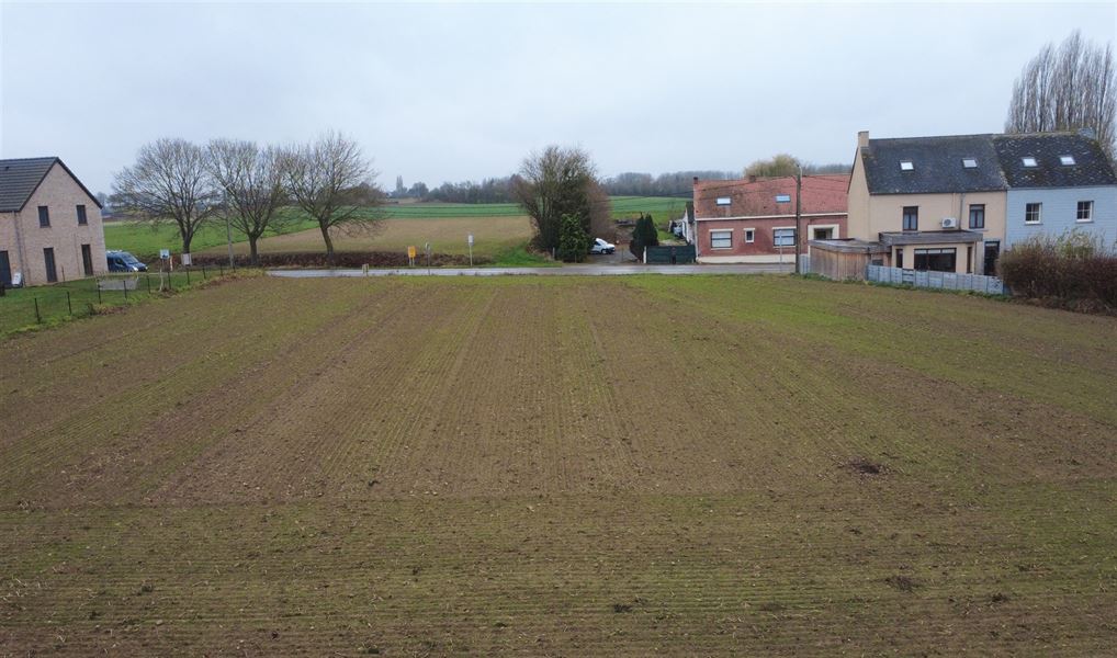 Terrain