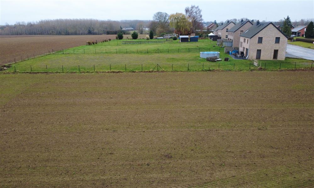 Terrain