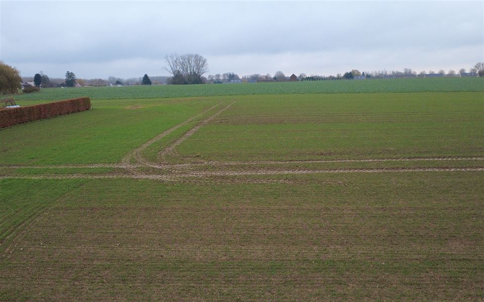 Terrain
