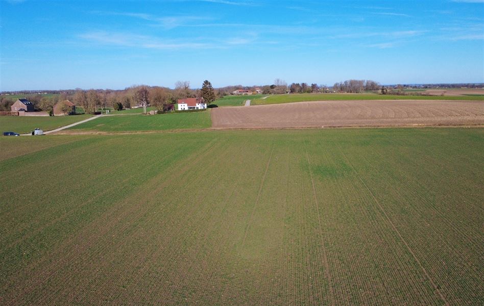 Terrain agricole