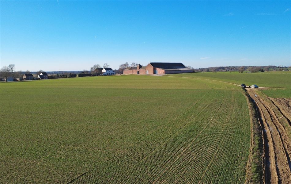 Terrain agricole