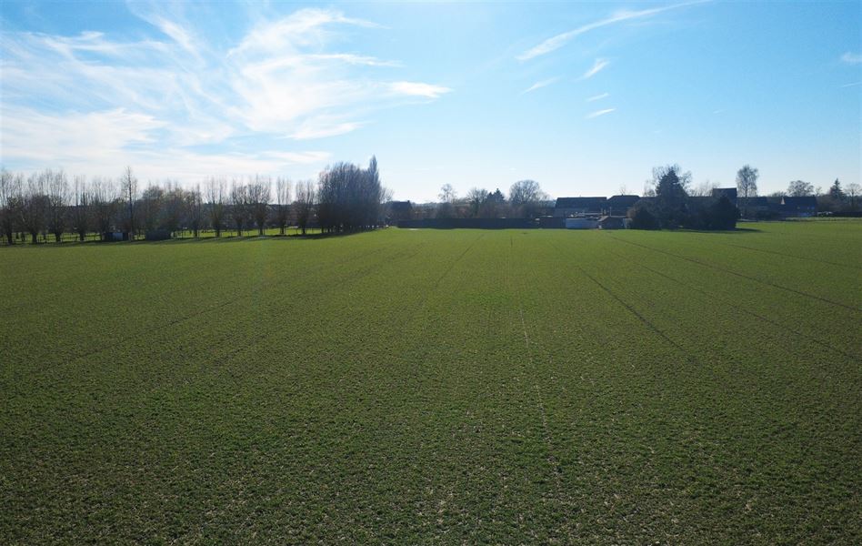 Terrain agricole