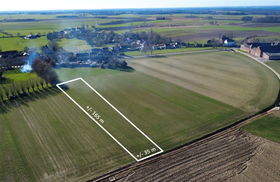 Terrain agricole