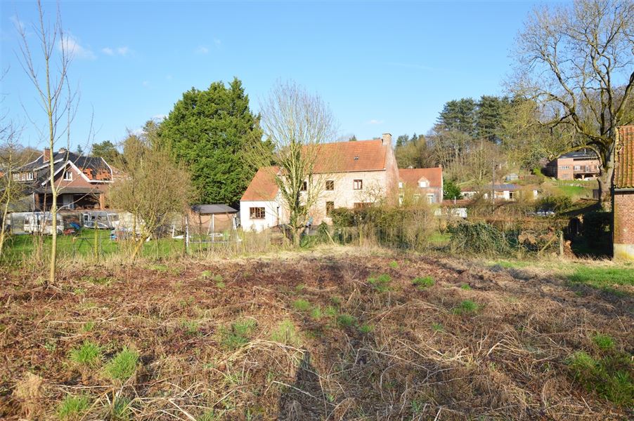 Terrain