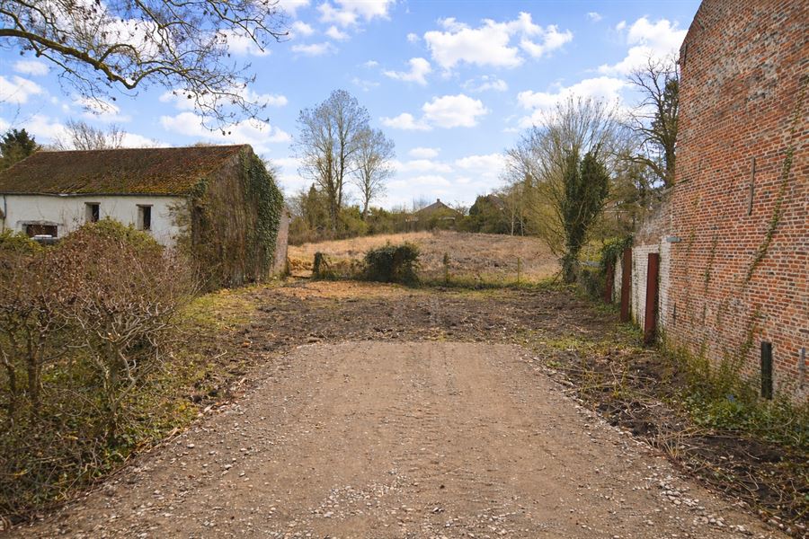 Terrain