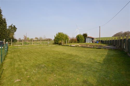 Terrain