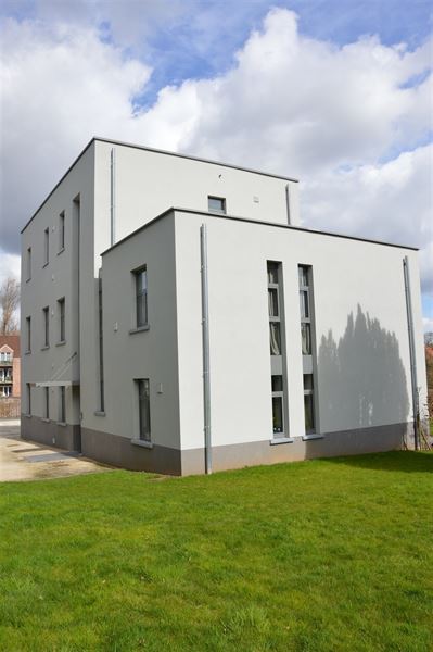 Duplex/triplex