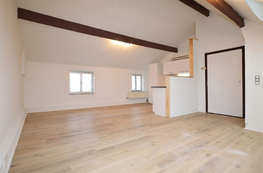 Duplex