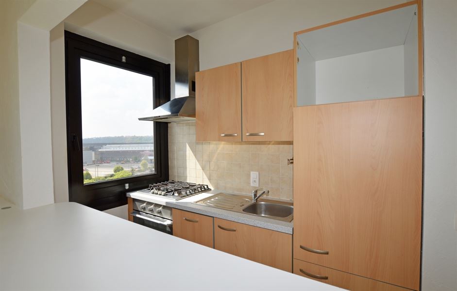 Appartement 1 chambre avec parking