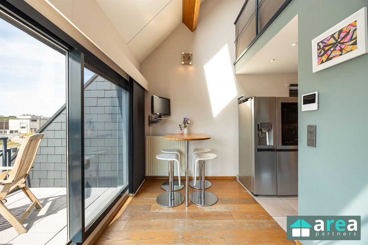 Ruim duplexappartement
