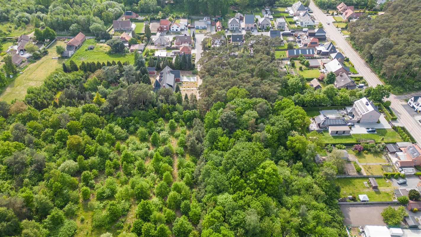 Bouwland (boszone)