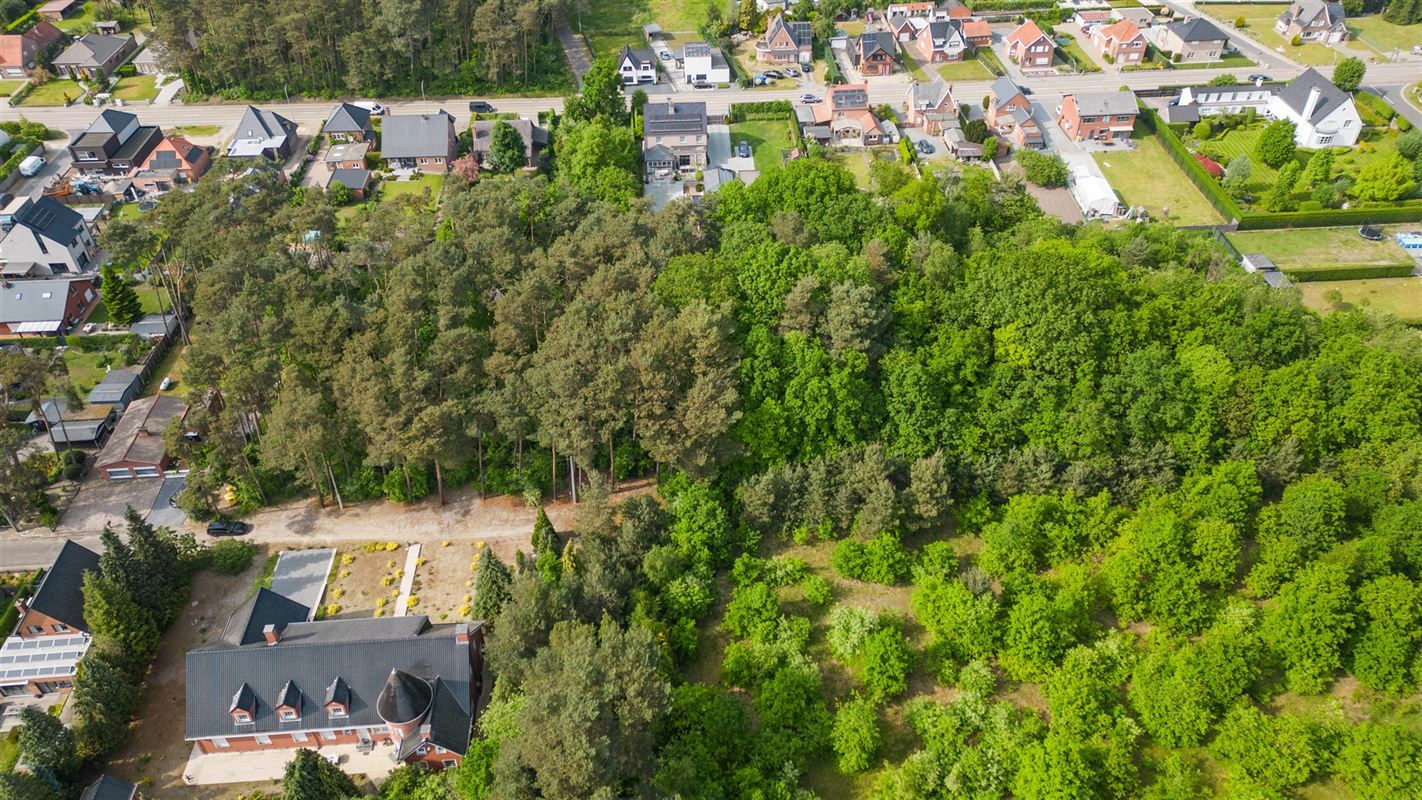 Bouwland (boszone)