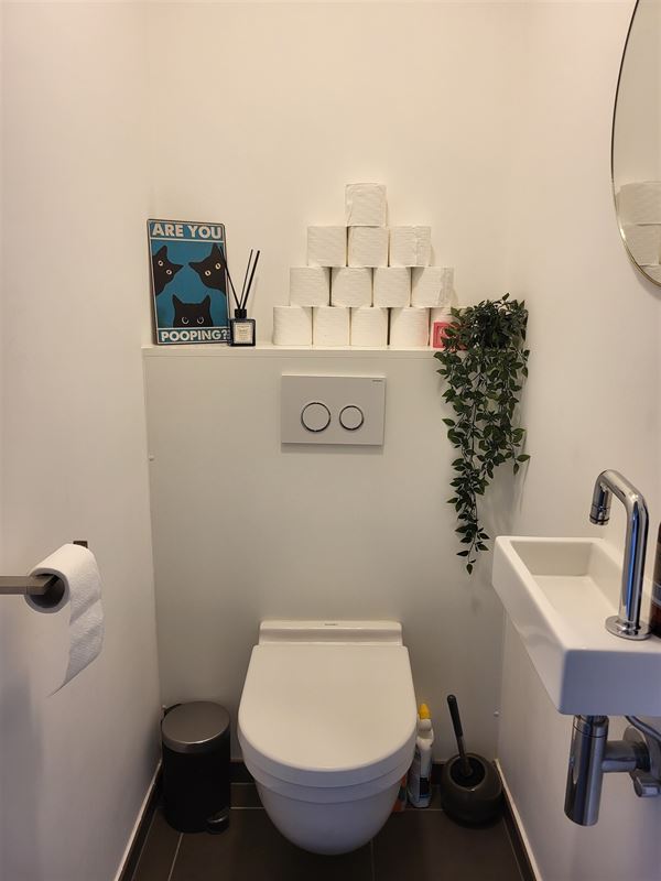 1-Slaapkamer dakappartement