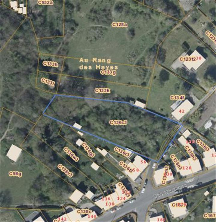 Spacieuse parcelle au calme sur les hauteurs d'Ivoz-Ramet