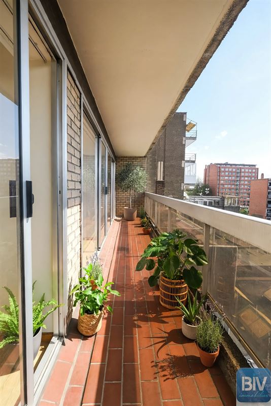 Appartement 3 ch belle vue sur Parc de la Boverie