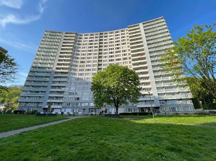 Appartement d'une chambre et terrasse, très lumineux.
