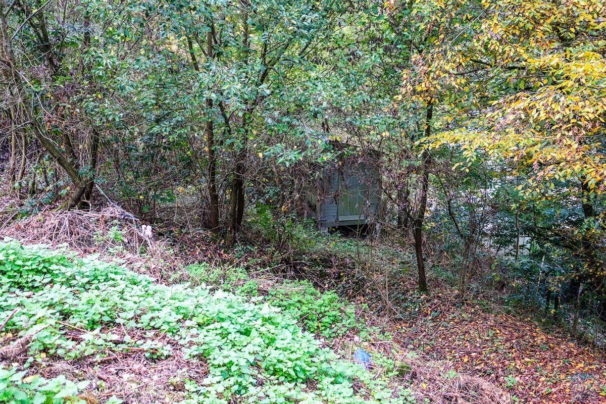 Sur un terrain de 7000m2, une maison de charme à rénover