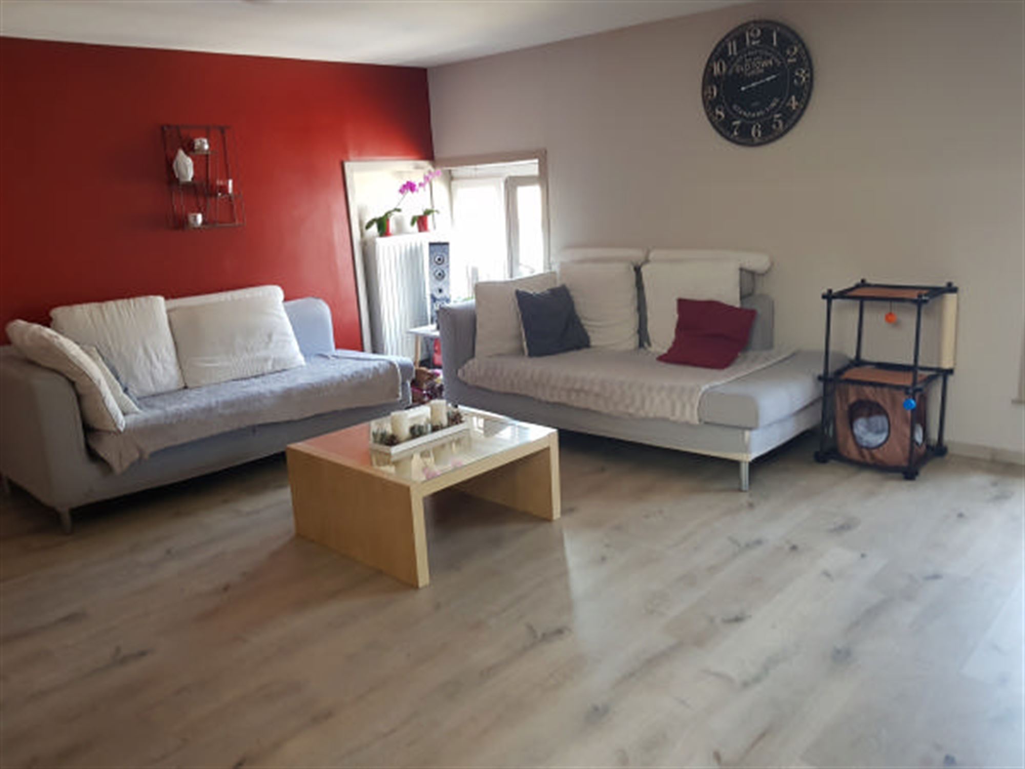 :Woningtype te :Stad