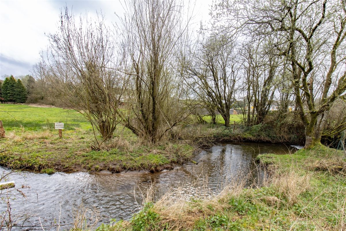 VTWELFROCEAU18- (42)