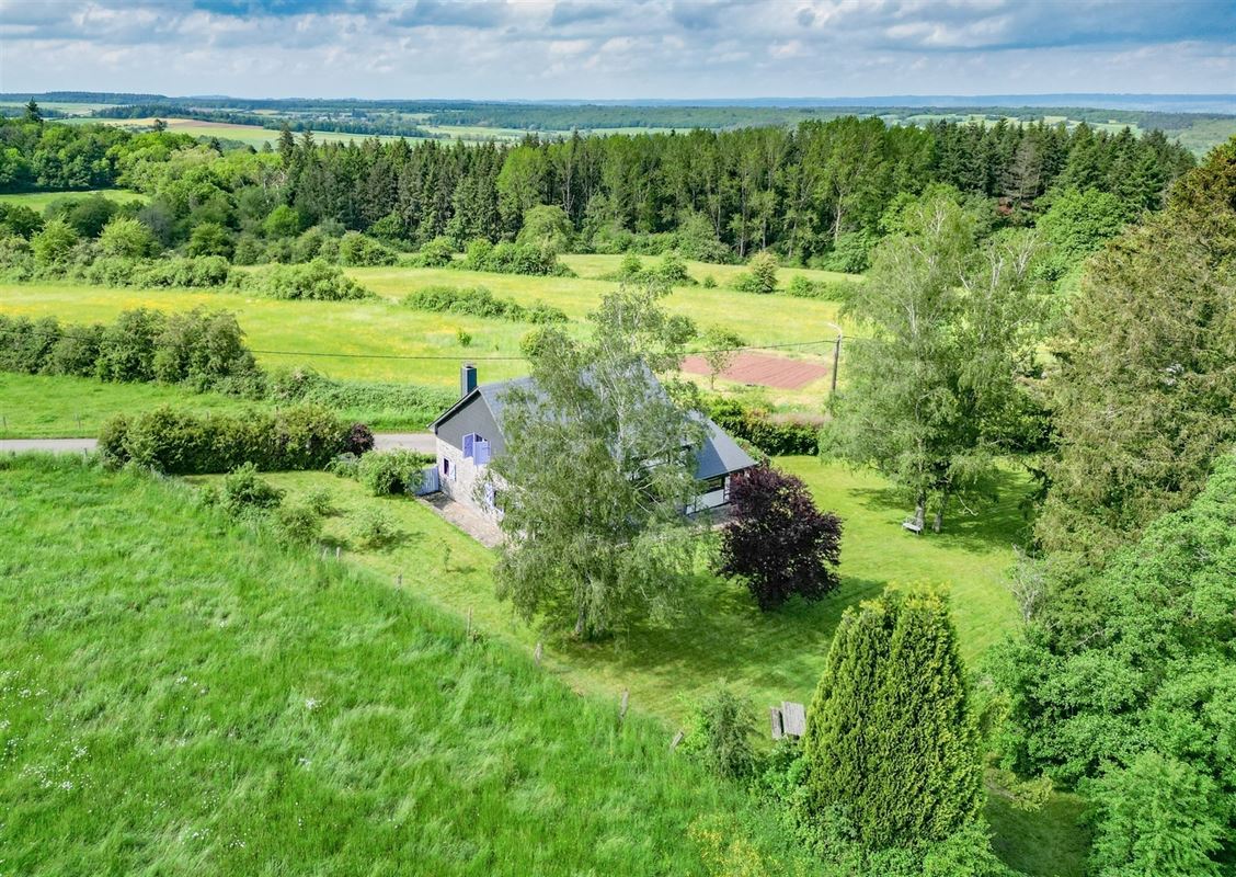 VTWELCHATEAU145DRONE- (2).jpg