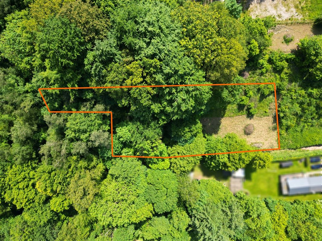 DJI_0825 flou voisin + détouré-min