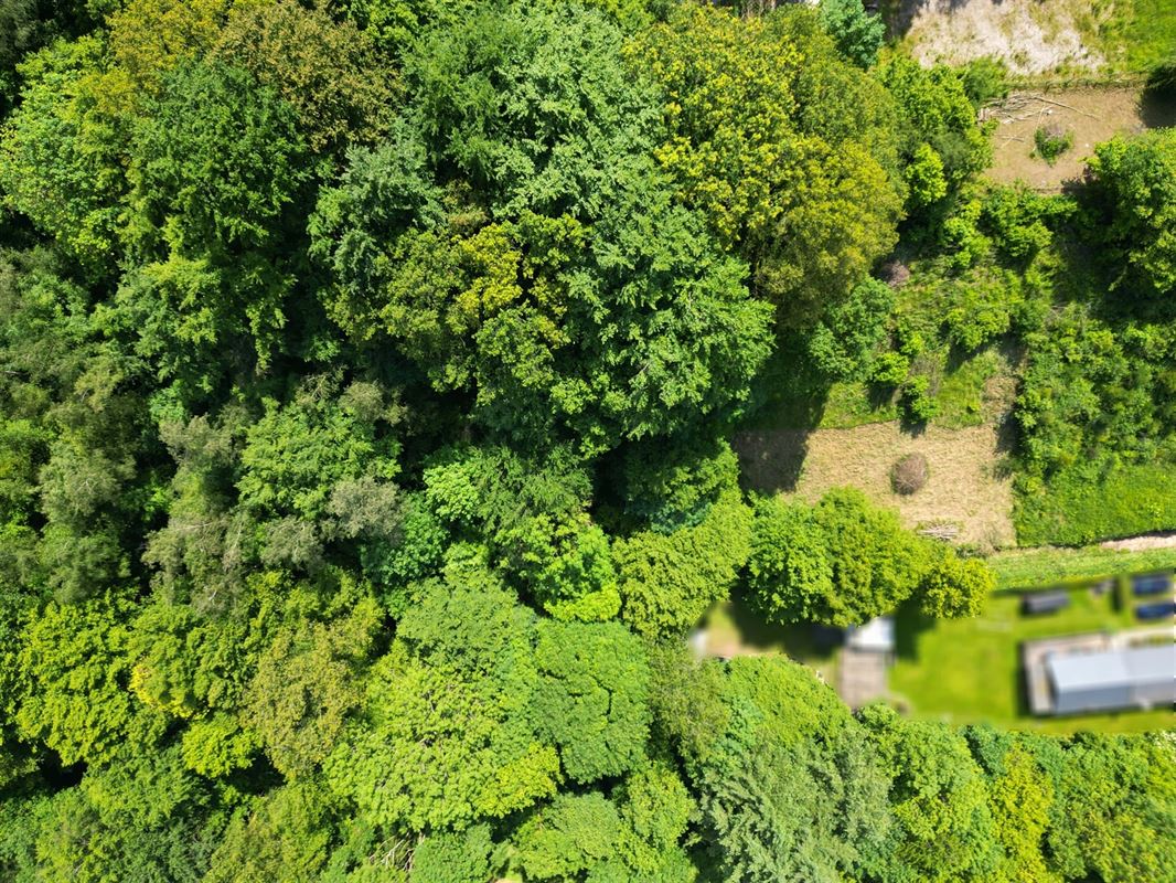 DJI_0825 flou voisin-min