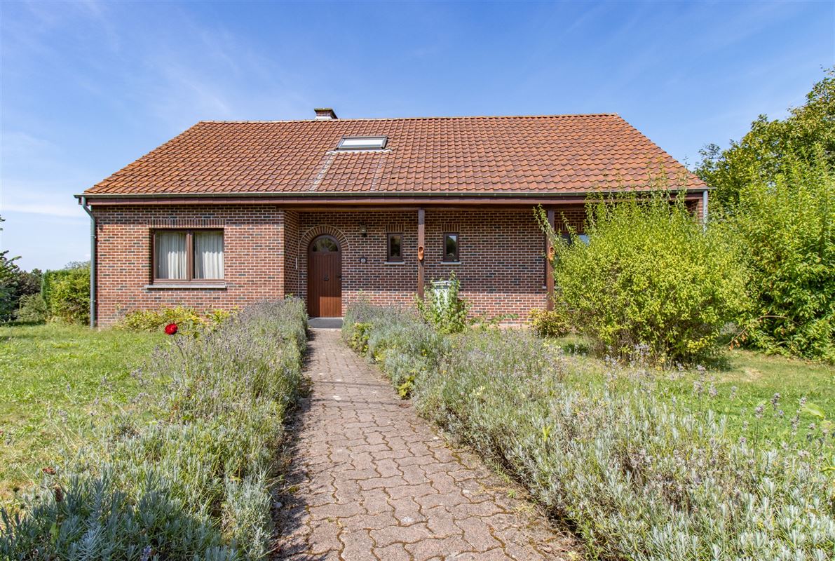 VTWELLIBERATION264- (4).jpg