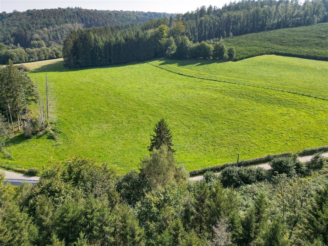 VTWELLESSE191- (4).jpg