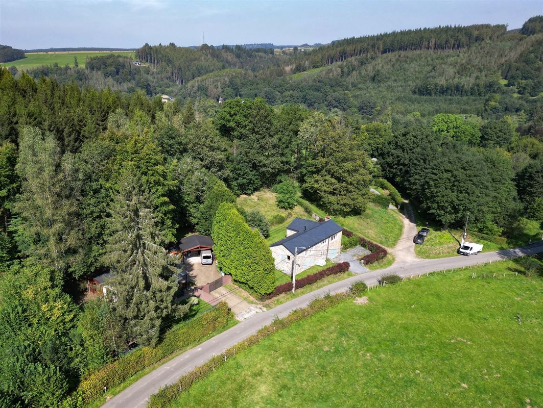 VTWELLESSE191- (5).jpg