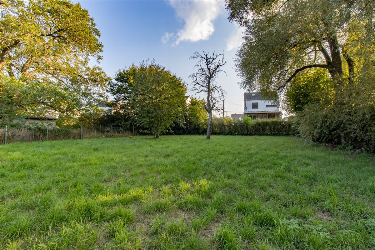 VTWELHOUCHETTES6- (9).jpg